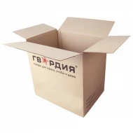 Коробка с логотипом 350x500x500 Т-24